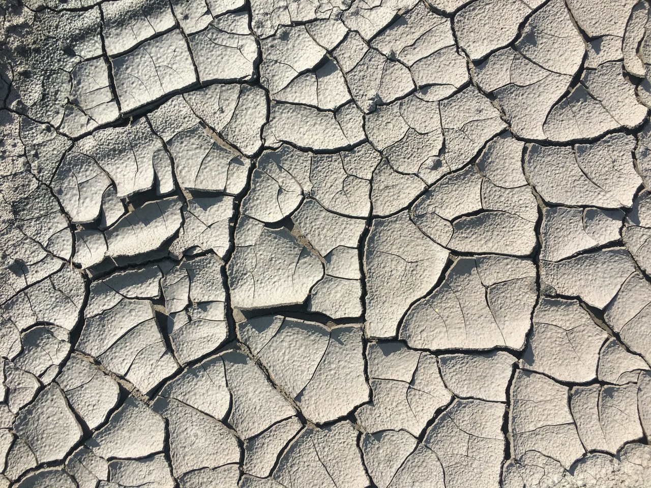 Що таке фейк-ньюз і як їх розпізнати: прості способи захисту від дезінформації